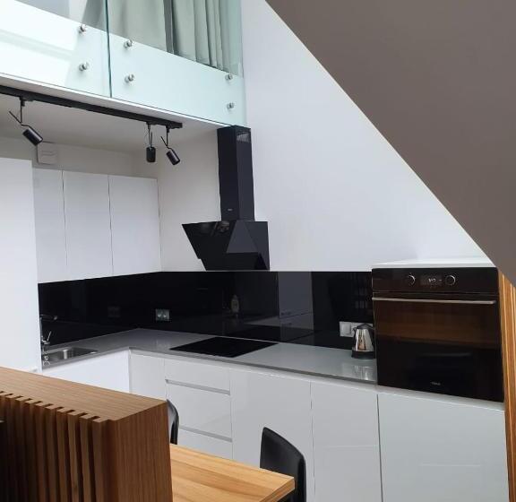 Апартаменты Пентхаус 1 Спальня, Odrzańska Residence Old Town