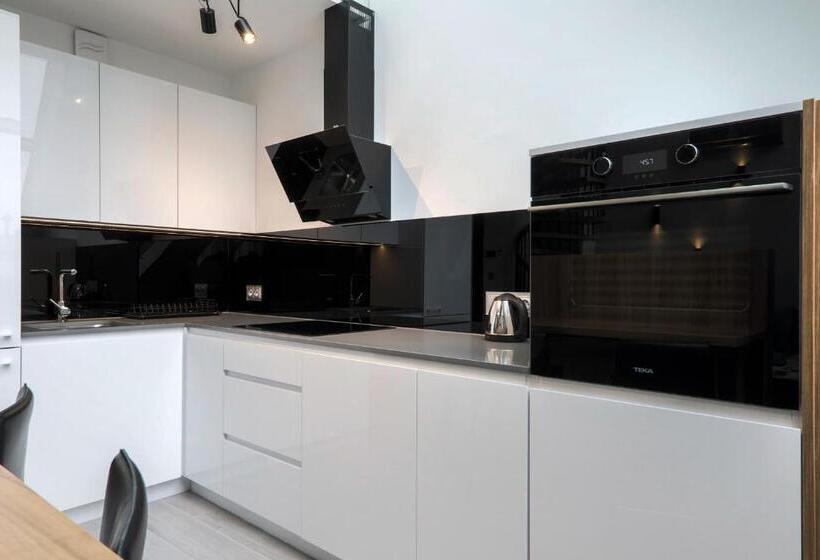 Апартаменты Дюплекс 1 Спальня, Odrzańska Residence Old Town