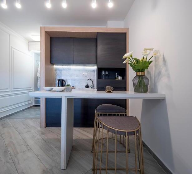 اتاق استاندارد با تراس, Misisuone Apartments Budva