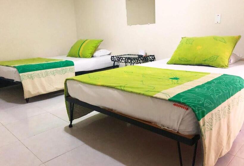 Номер Стандарт, Morfeo