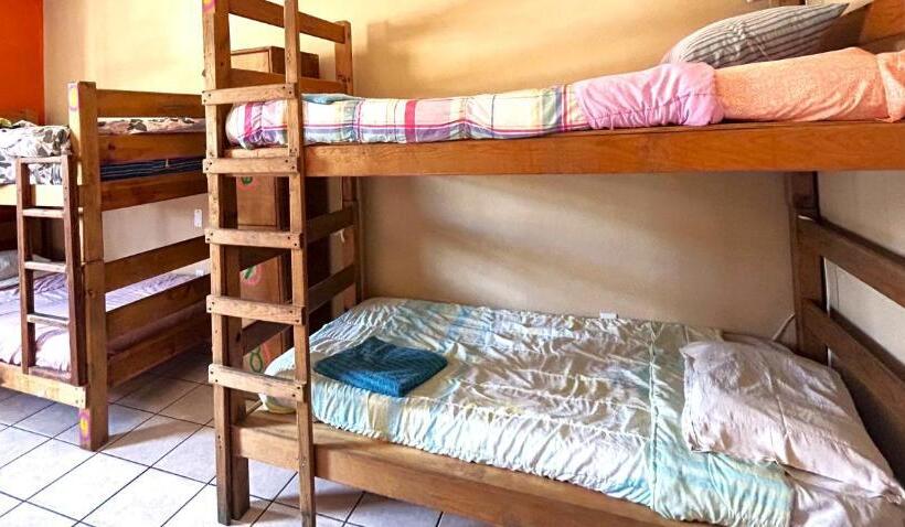 מיטה בחדר משותף, Sofia Hostel Cabo