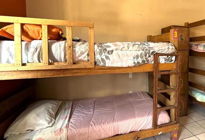 מיטה בחדר משותף, Sofia Hostel Cabo