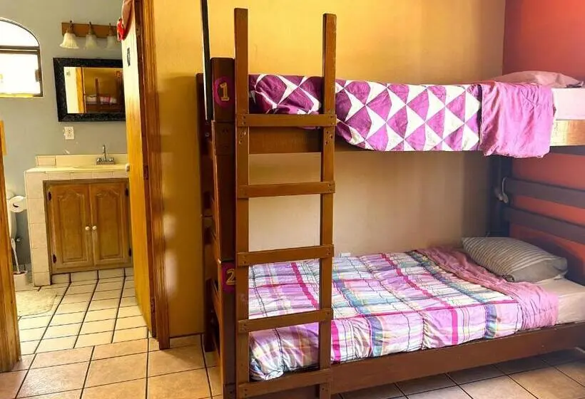 ルームシェアのワンベッド, Sofia Hostel Cabo
