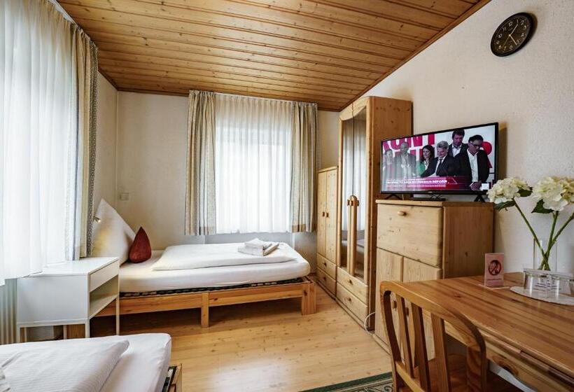 غرفة قياسية, Landgasthof Ochsen