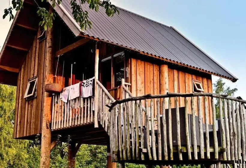 ２ベッドルームアパートメント, Tree House