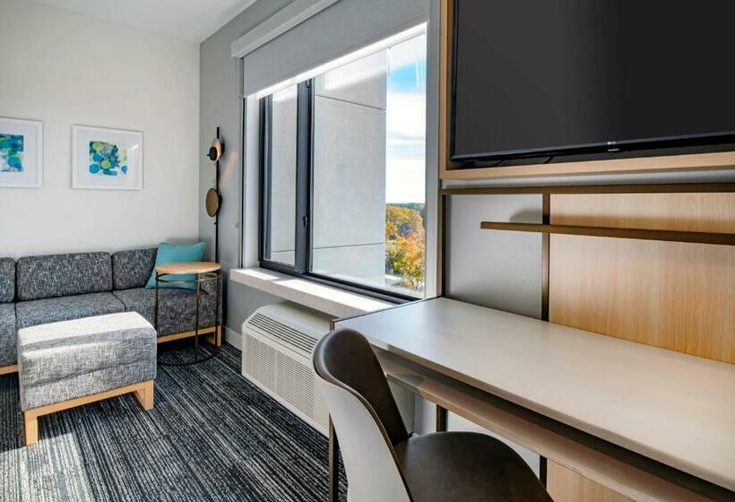 إستوديو قياسى سرير كينج, Towneplace Suites By Marriott Wrentham Plainville