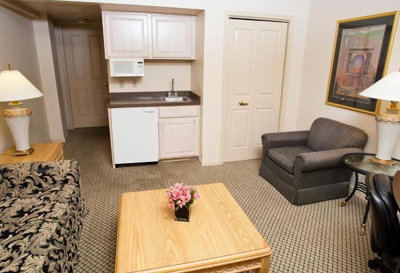 带大床的标准间, Bella Vista Suites Lake Geneva