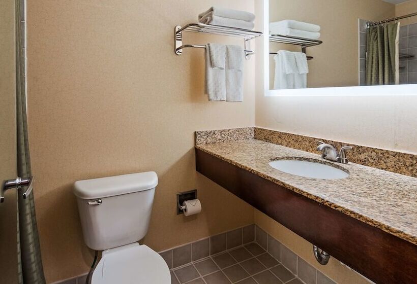 身障者適用スイートルーム, Best Western Plus Hannaford Inn & Suites