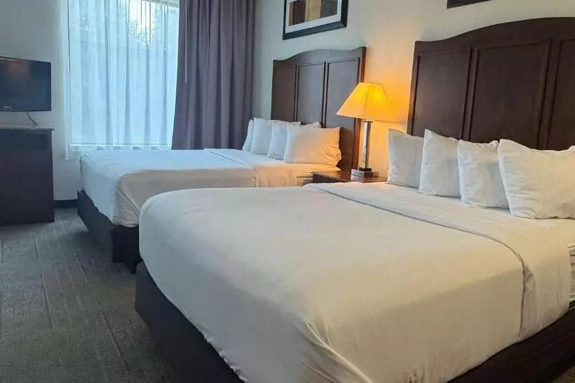 身障者適用クイーンサイズベッドルーム, Best Western Plus Hannaford Inn & Suites