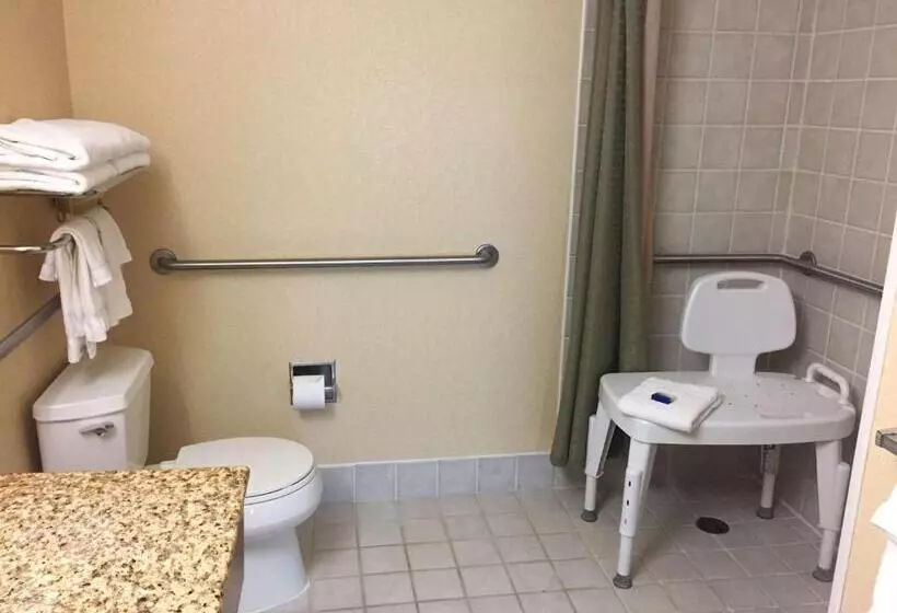 身障者適用クイーンサイズベッドルーム, Best Western Plus Hannaford Inn & Suites