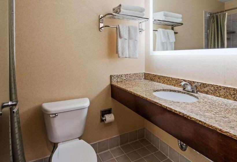 身障者適用クイーンサイズベッドルーム, Best Western Plus Hannaford Inn & Suites