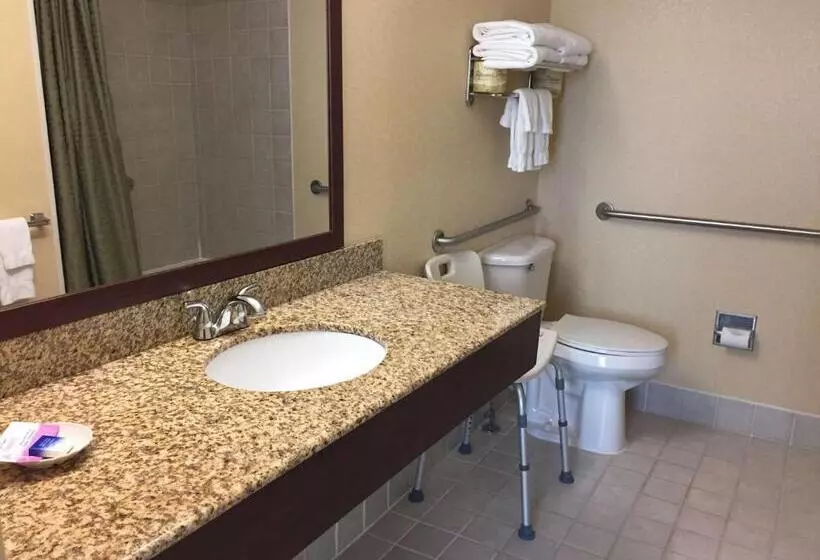身障者適用スタンダードルーム, Best Western Plus Hannaford Inn & Suites