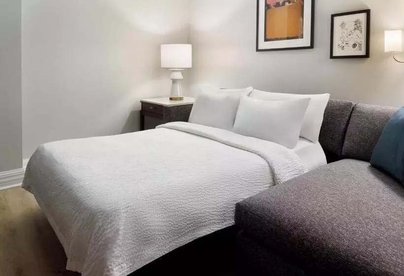 سوئیت با تخت بزرگ, Courtyard By Marriott New Orleans French Quarter/iberville