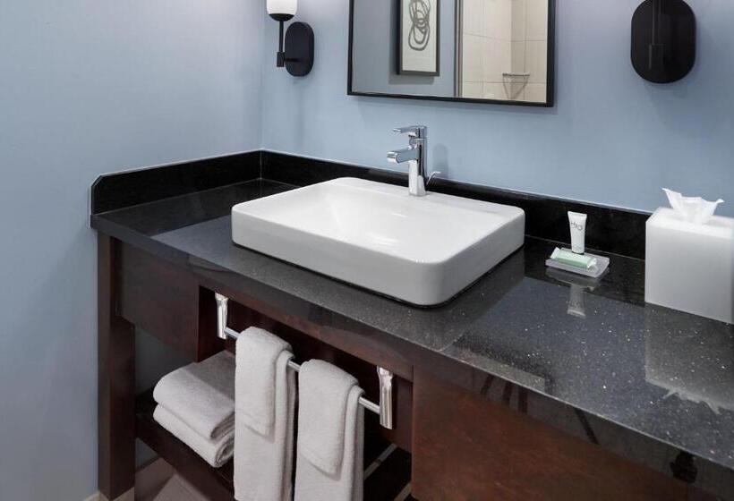 스위트 킹사이즈 침대, Courtyard By Marriott New Orleans French Quarter/iberville