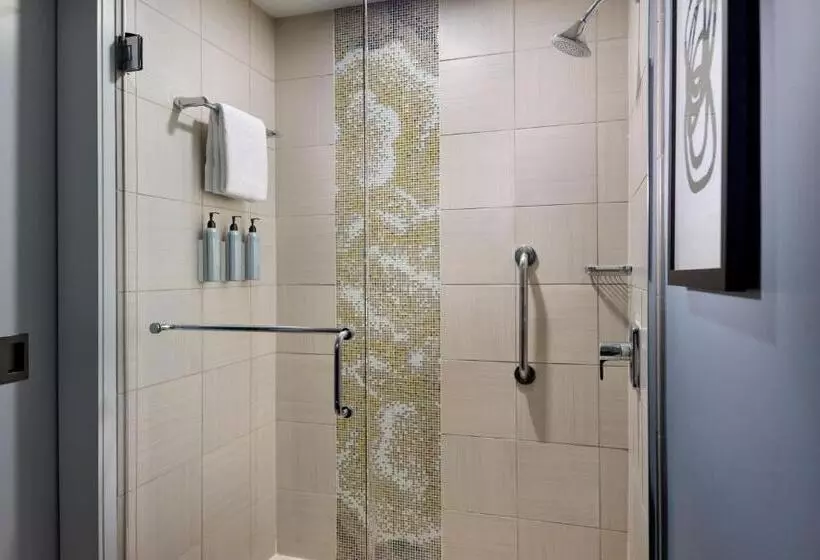 اتاق استاندارد برای معلولان, Courtyard By Marriott New Orleans French Quarter/iberville