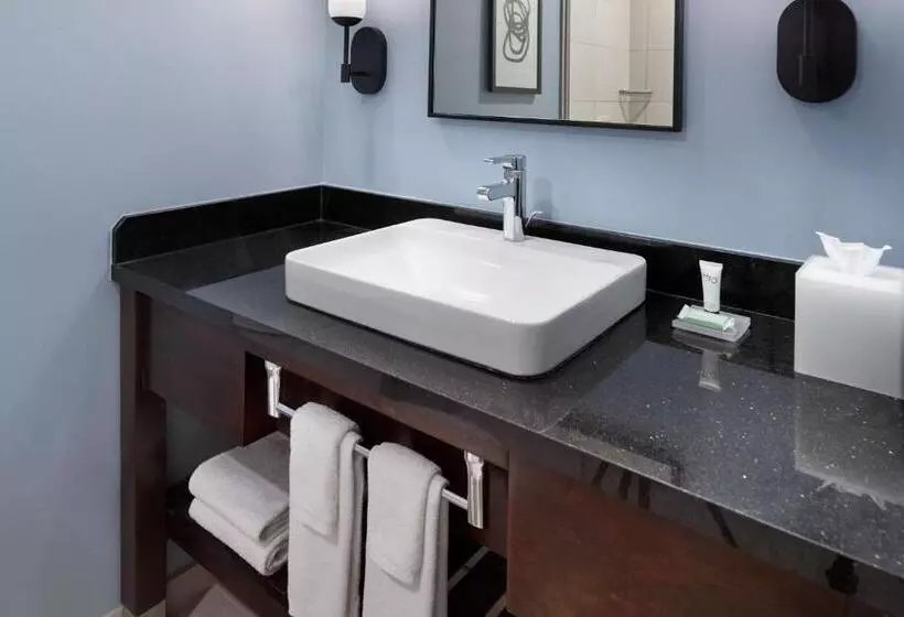 اتاق استاندارد برای معلولان, Courtyard By Marriott New Orleans French Quarter/iberville
