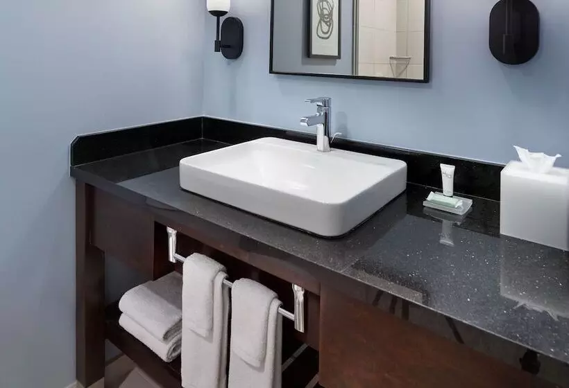 سوییت, Courtyard By Marriott New Orleans French Quarter/iberville