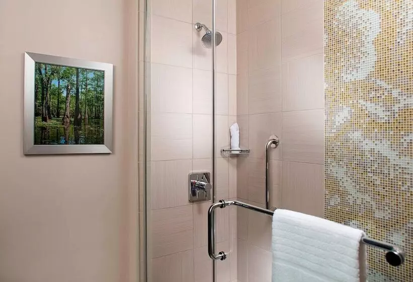 سوییت, Courtyard By Marriott New Orleans French Quarter/iberville