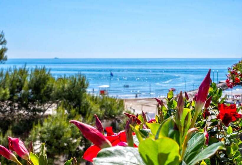 高级海景房, Petit Palais