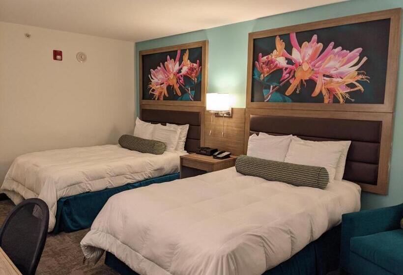 バルコニー付きスタンダードルーム, Rod 'n' Reel Resort