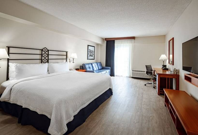 Pokój Deluxe Widok Basen, Seven Sebring Raceway