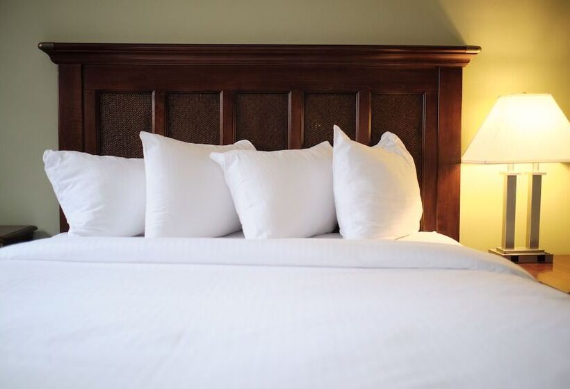 豪华房间, The Inn On Ferry Street