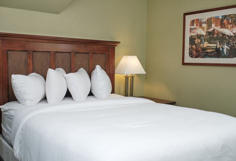 豪华房间, The Inn On Ferry Street