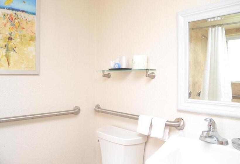 스탠다드 스튜디오 더블 침대, Victoria Park