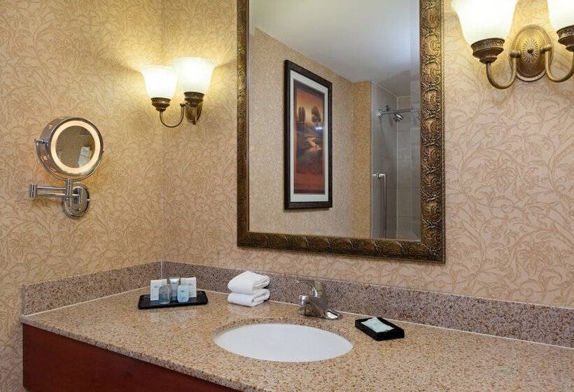 ガーデンビューデラックスルーム, Virginia Crossings Hotel, Tapestry Collection By Hilton