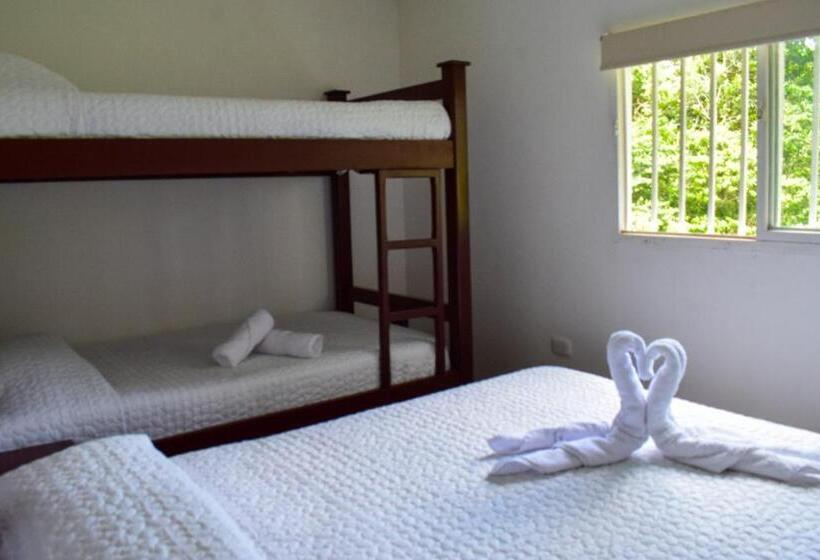 4인용 스탠다드 룸, Hostal Mochileros Inn