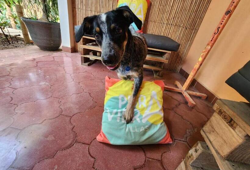 스탠다드 스튜디오 (테라스구비), Villas Pura Vibra