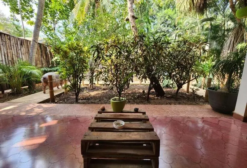 テラス付きスタンダードワンルーム, Villas Pura Vibra