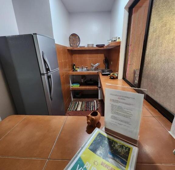 스탠다드 스튜디오 (테라스구비), Villas Pura Vibra