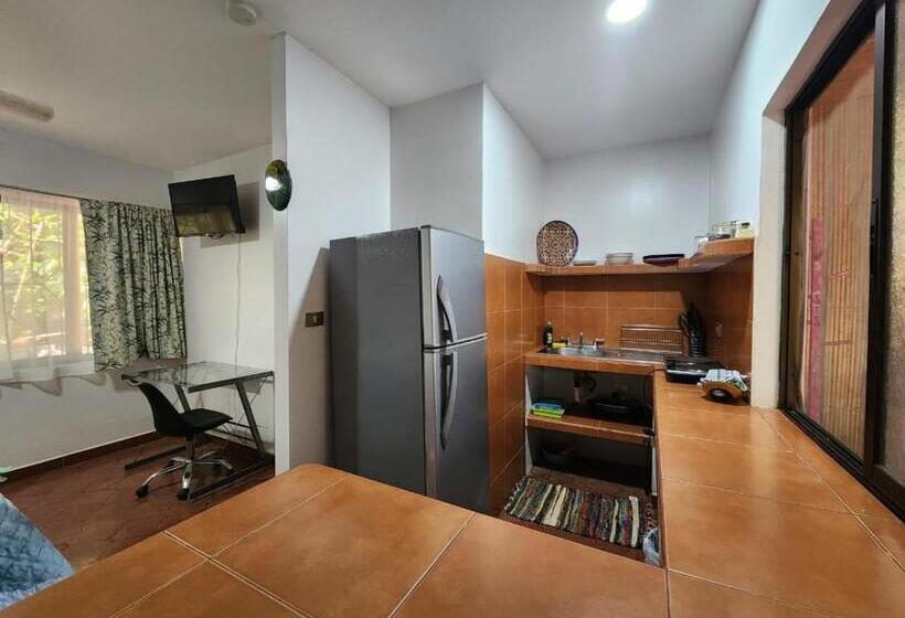 스탠다드 스튜디오 (테라스구비), Villas Pura Vibra