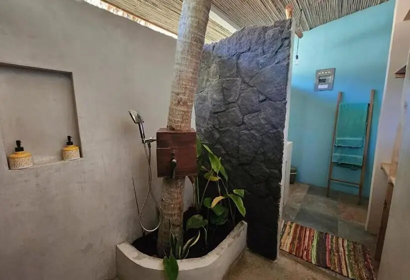デラックスバンガロー, Villas Pura Vibra