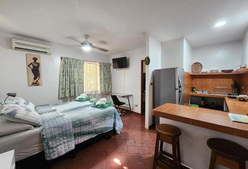 스탠다드 스튜디오 (테라스구비), Villas Pura Vibra