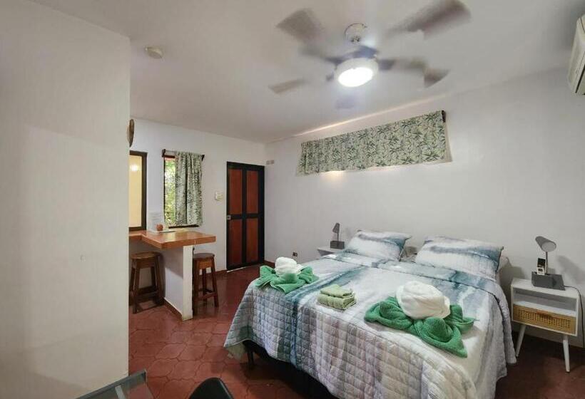 Студио Стандарт с Террасой, Villas Pura Vibra