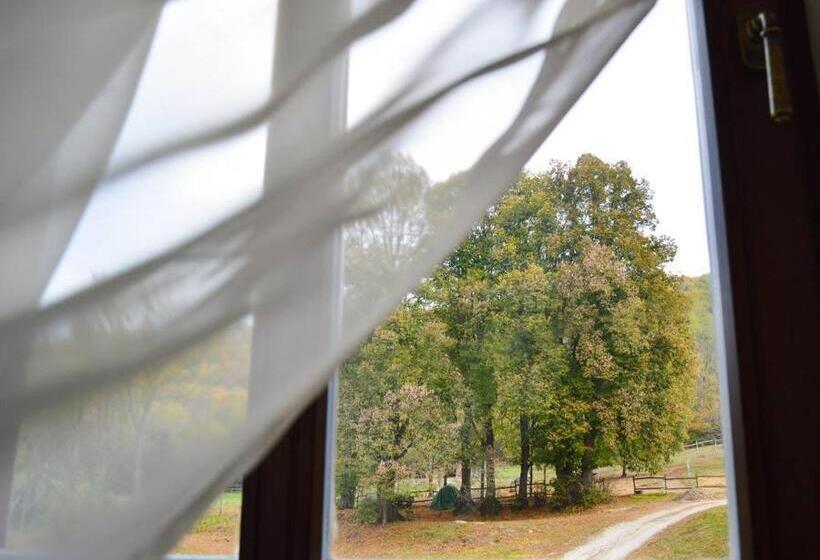 חדר דלוקס, Somhegyi öreg Hársfák Major Vendégház