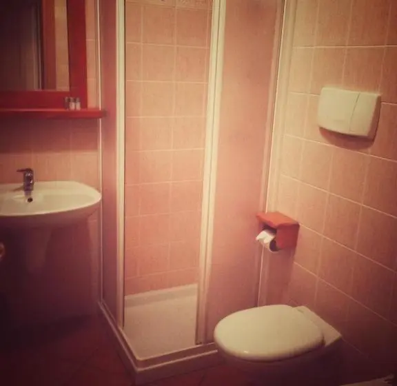 テラス付スタンダードルーム, Albergo Panoramico