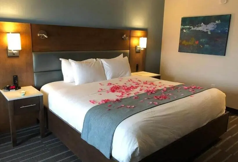 マウンテンビュースタンダードルーム, Tioga Downs Casino And Resort