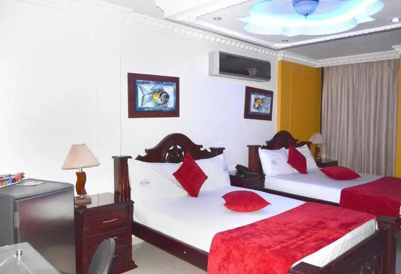Chambre Quadruple Standard, Vans Valledupar