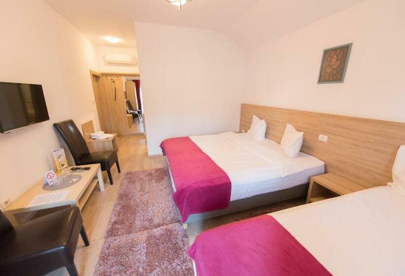 Номер Стандарт Трехместный, Pensiunea Puiu