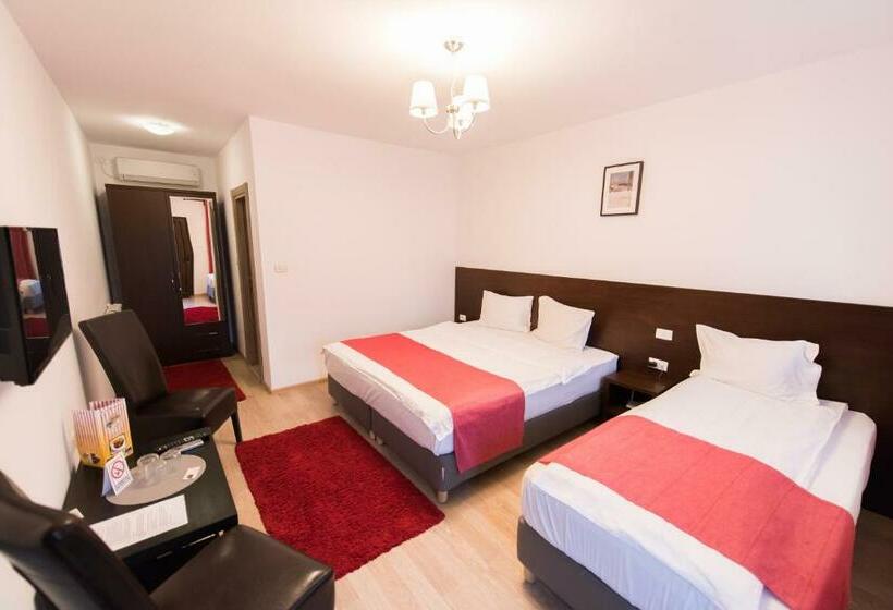 Номер Стандарт Трехместный, Pensiunea Puiu