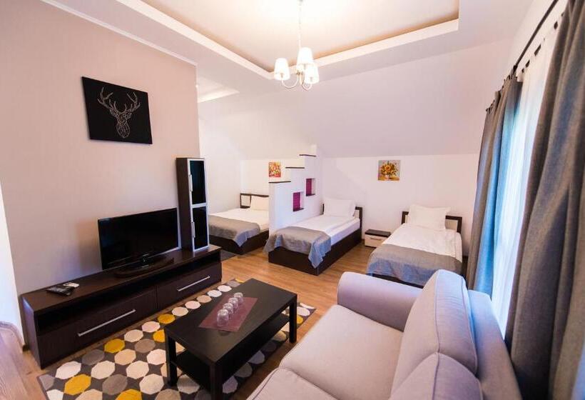 Семейный Номер, Pensiunea Puiu