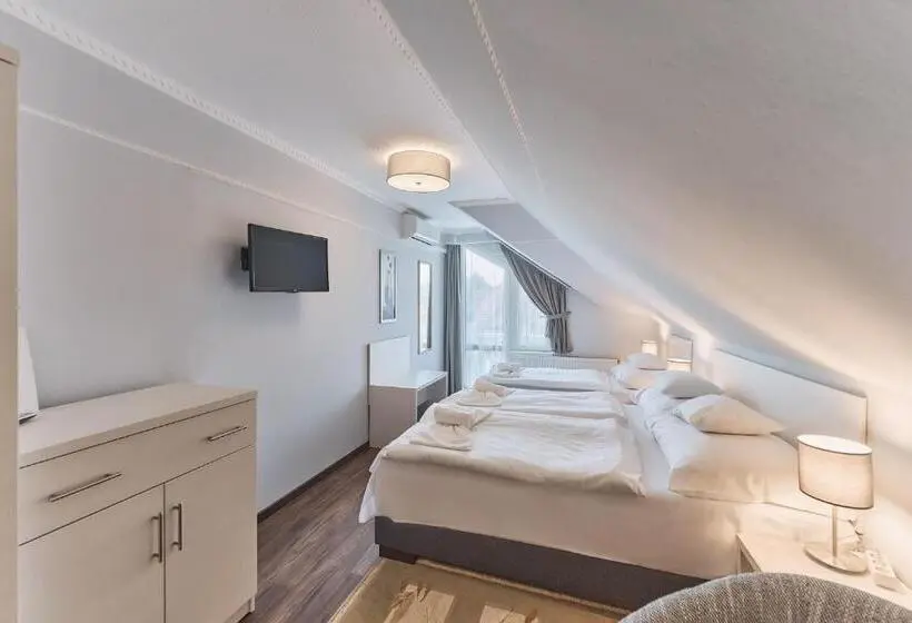 Standard Kolmen Hengen Huone Parveke, Tokajer Wellness Panzió
