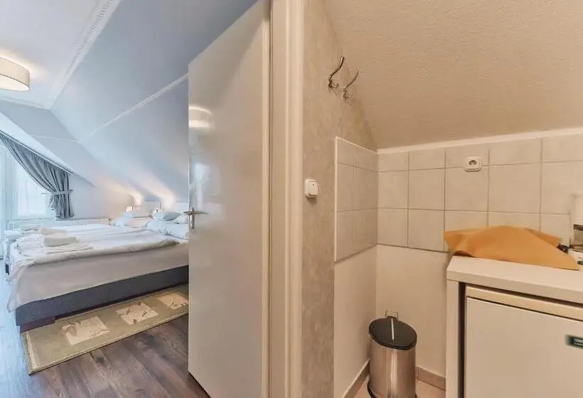 Standard Kolmen Hengen Huone Parveke, Tokajer Wellness Panzió
