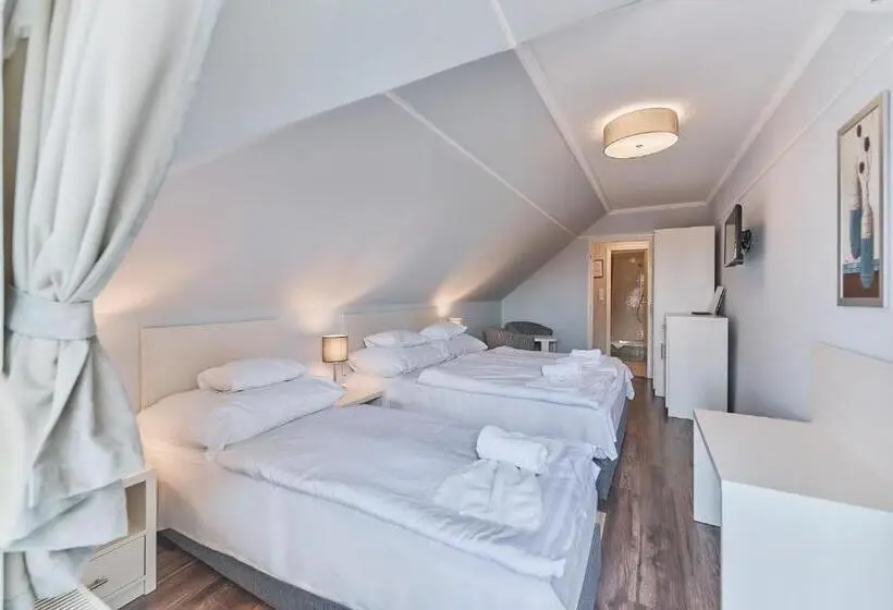 Standard Kolmen Hengen Huone Parveke, Tokajer Wellness Panzió