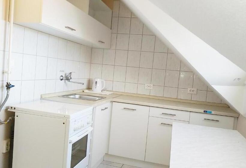 2침실 펜트하우스 아파트, Tokajer Wellness Panzió