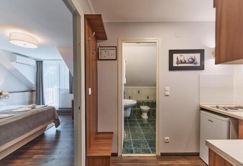 스탠다드 룸, Tokajer Wellness Panzió