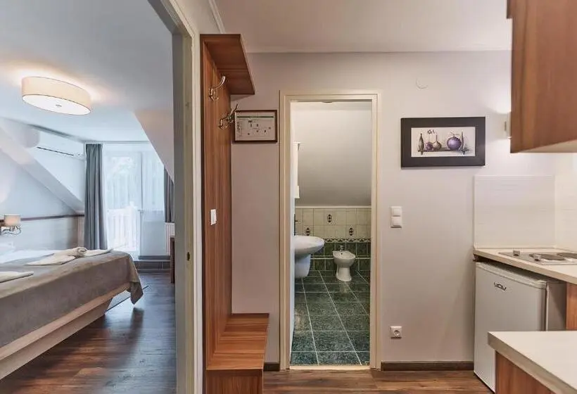 Standard-huone, Tokajer Wellness Panzió